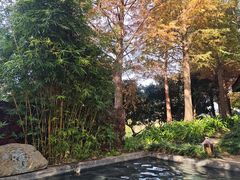 -七彩云南古滇温泉山庄