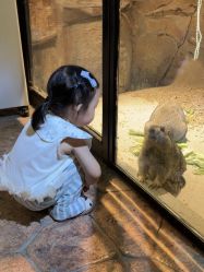 -酷嗒动物文化乐园(cutezoo西溪乐天城店)