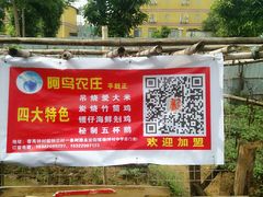 -阿鸟农庄(石壁店)