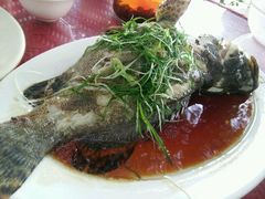 清蒸老虎斑-湿地轩