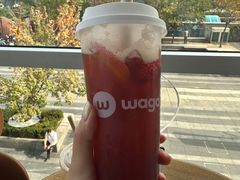 -Wagas沃歌斯(五道口购物中心店)