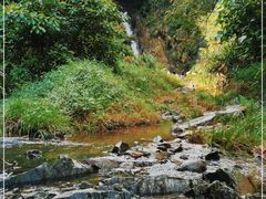 -梧桐山风景名胜区