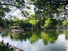 -晓港公园
