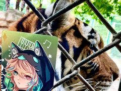 -上海野生动物园