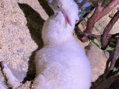 -正佳雨林生态植物园