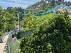 -西霞口神雕山野生动物世界