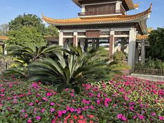 -橘子洲景区