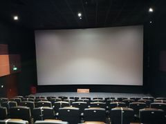 -中影傲视国际影城(三乡全景声激光店)