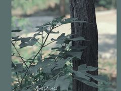 -黄河小浪底水利枢纽风景区