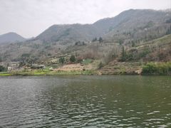 -后柳水乡