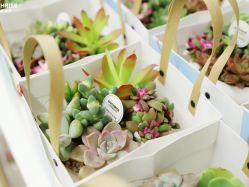 点击看大图 -杭州贝瑞斯美华妇儿医院·早孕·产检·儿科