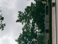 -乌镇东栅景区