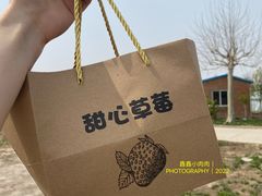 -甜心庄园·甜心草莓采摘园(西青中北店)