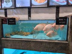 水产区-徐记海鲜(开福寺|伍家岭店)