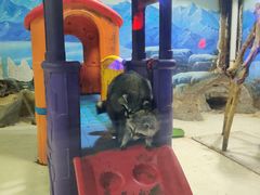 -华夏文旅海洋公园