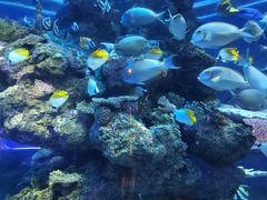 -成都浩海立方海洋公园