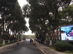 -昆山城市生态森林公园