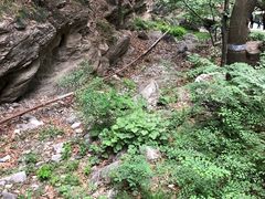 -北京上方山国家森林公园