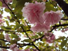 android_upload_pic-石峰公园