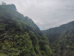 -碧峰峡风景区