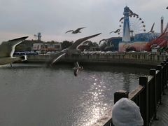-大连圣亚海洋世界
