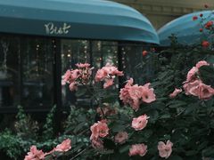 -碧特博格啤酒花园餐厅(芜湖路店)