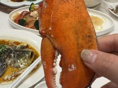 -莲苑中餐厅·Lotus Court(厦门马哥孛罗东方大酒店)