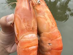 -蟹村草堂·苏式园林人文农家·大闸蟹