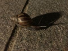 -惠州金海湾嘉华度假酒店