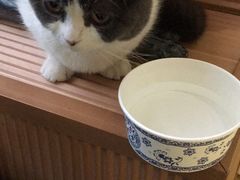 -芭比堂动物医院·犬猫全科·异宠专科(雁塔分院)