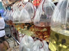 -中环花鸟鱼虫市场