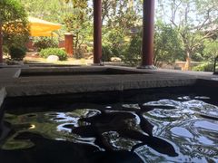 -西安华清御汤酒店