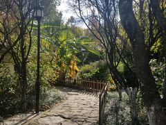 -巍山火巴肉饵丝(大理古城店)