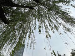 -新虹桥中心花园