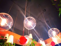 -柴务处·柴犬主题狗咖