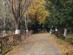 -长白岛森林公园