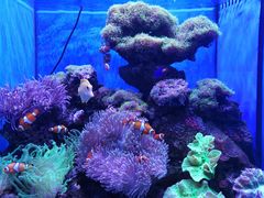 -多彩贵州城极地海洋世界