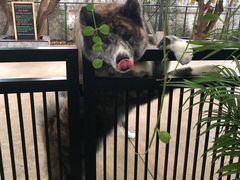 -TrueLove @ Neverland (Husky Cafe)