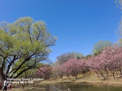 -颐和园