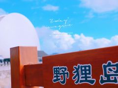 -野狸岛