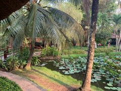 -Mekong Rest Stop