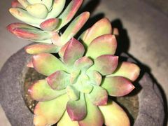 -瓦库茶馆17号(海汇港店)