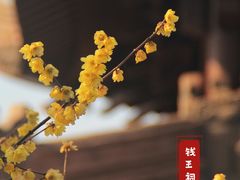 -钱王祠