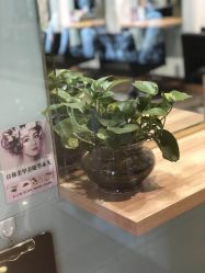 -东方麒麟·潘多拉SALON