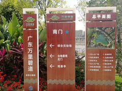 -银湖山郊野公园-相思林