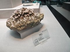 -湖南省地质博物馆