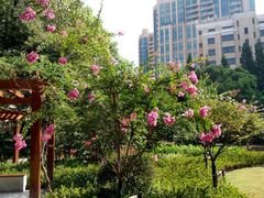 -徐家汇源景区-衡山公园