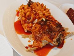 -洋洋中餐馆·SINCE 1997(龙湖星湖天街店)