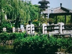 -淹城春秋乐园