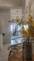 -潘多拉Hairsalon
